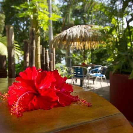 Villas Del Caribe Puerto Viejo de Talamanca Экстерьер фото
