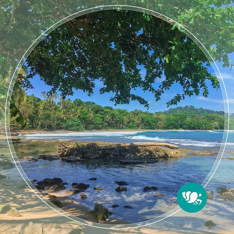 Villas Del Caribe Puerto Viejo de Talamanca Экстерьер фото
