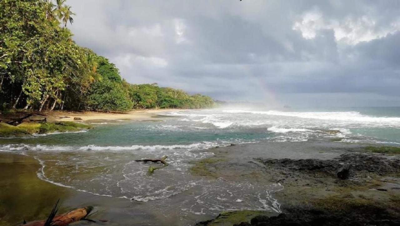 Villas Del Caribe Puerto Viejo de Talamanca Экстерьер фото