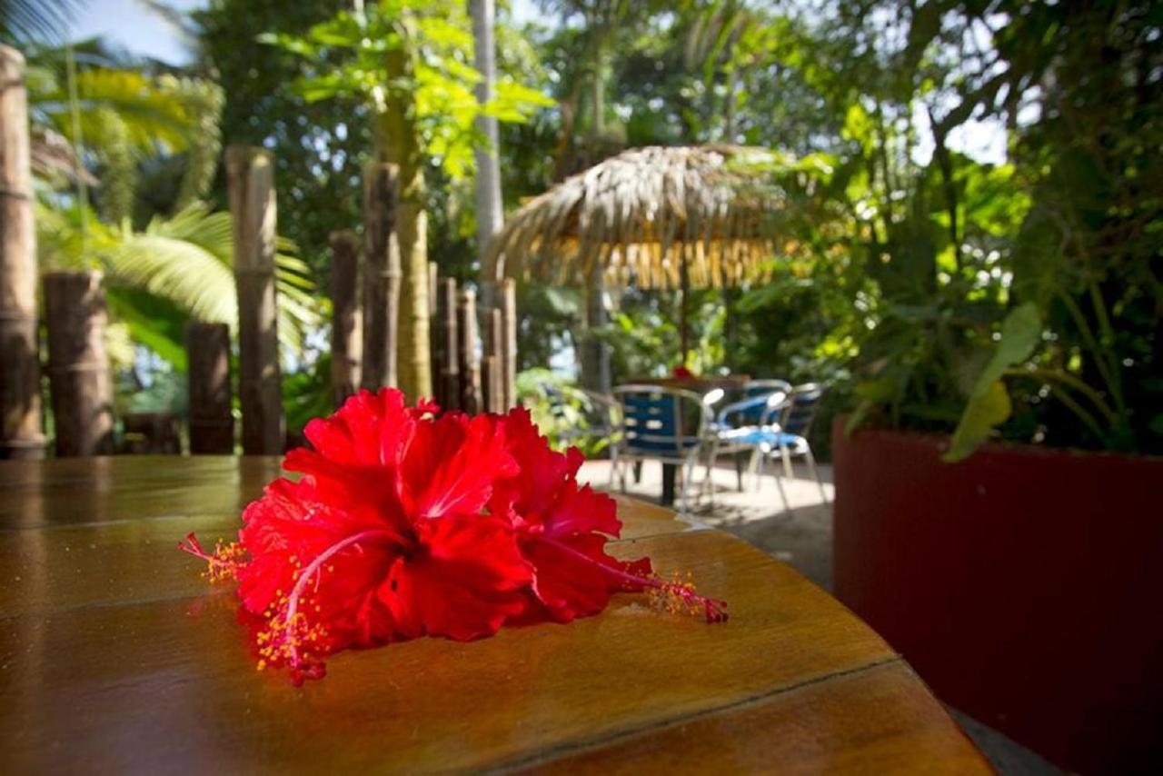 Villas Del Caribe Puerto Viejo de Talamanca Экстерьер фото