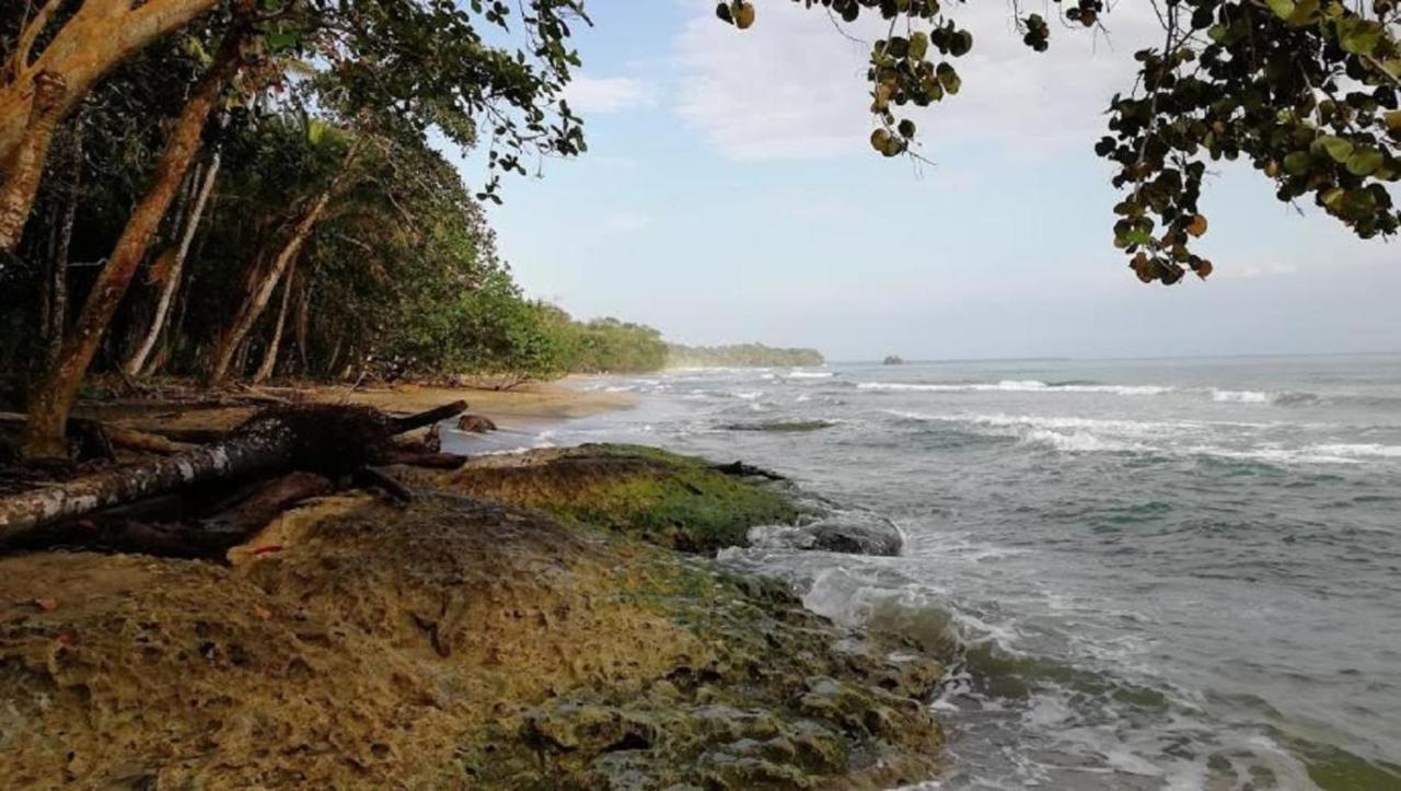 Villas Del Caribe Puerto Viejo de Talamanca Экстерьер фото