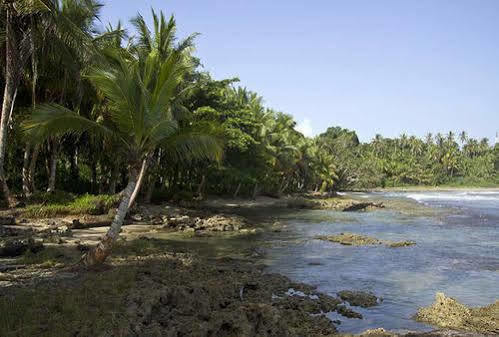 Villas Del Caribe Puerto Viejo de Talamanca Экстерьер фото