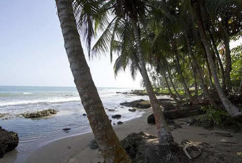 Villas Del Caribe Puerto Viejo de Talamanca Экстерьер фото
